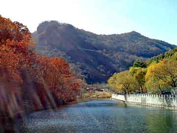 新澳天天开奖资料大全旅游团，王妃别使坏心眼